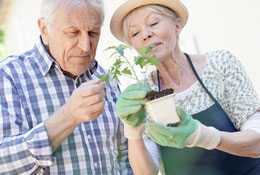 More than May Flowers