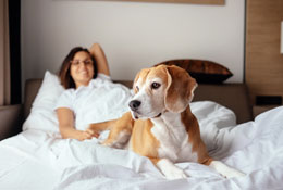 The Sleep-Heart Connection