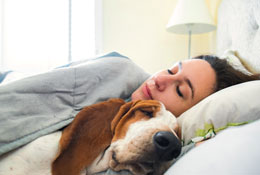 Should You Sleep with Your Pet?