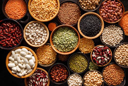 The Lectin-Free Diet