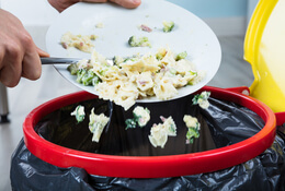 Cutting Down on Food Waste