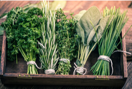 Using Herbs for Health